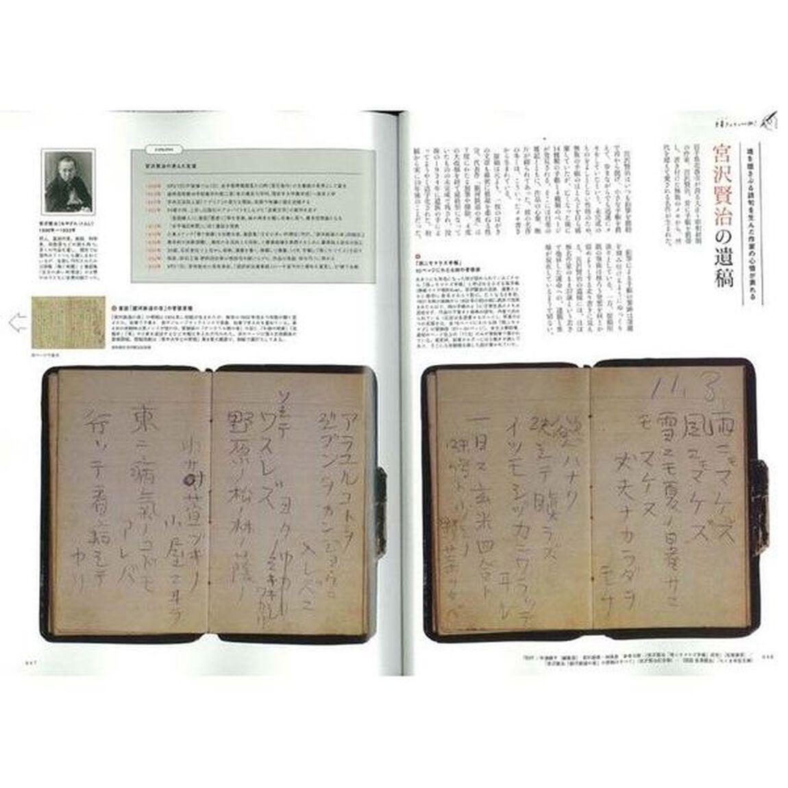趣味の文具箱　文房具を愛し、人生を楽しむ本。　ｖｏｌ．５０「手書きっていいね！　漫画家・星野桂さんのアイデア帳／ペリカン茶縞のすべて」