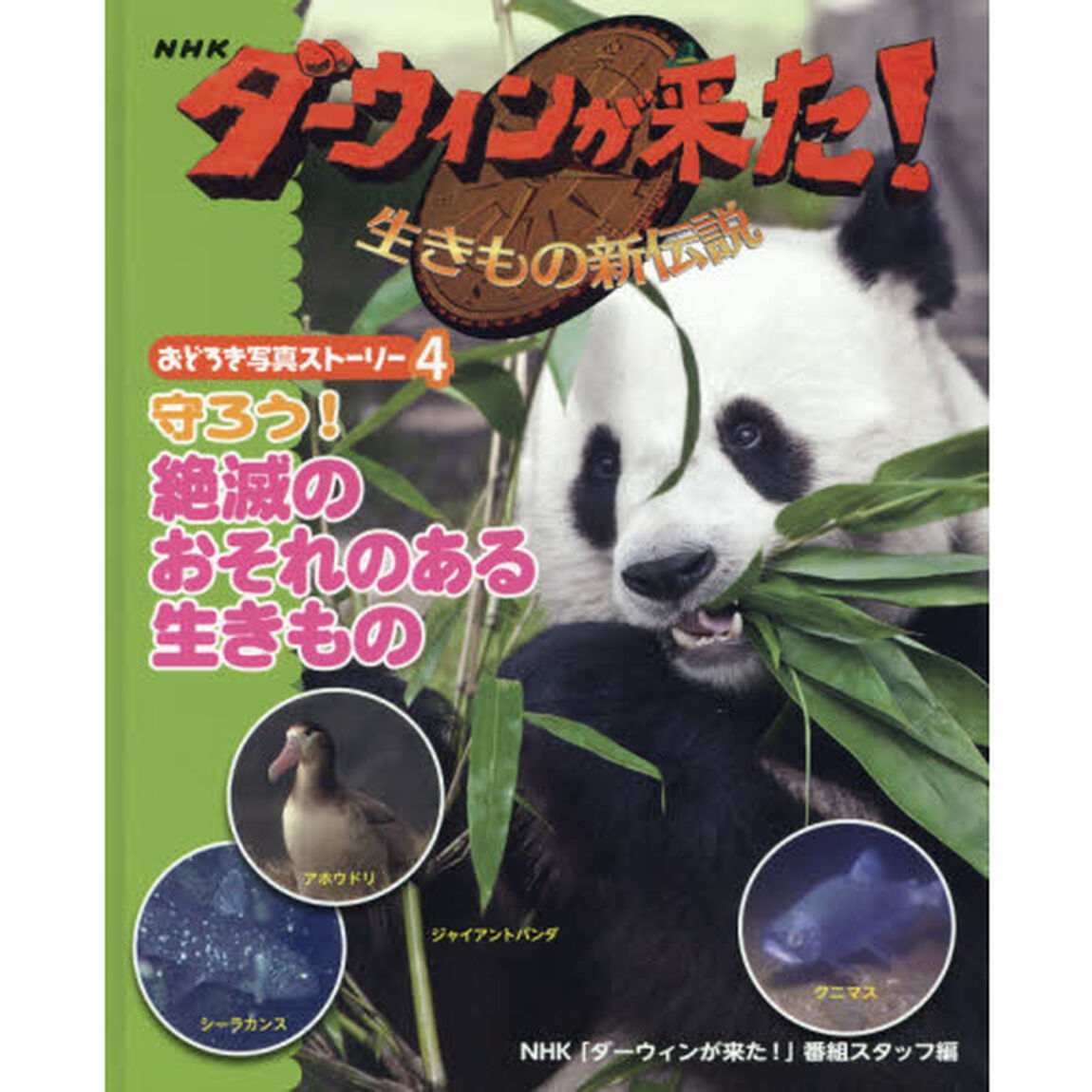 ＮＨＫダーウィンが来た！生きもの新伝説おどろき写真ストーリー　４「守ろう！絶滅のおそれのある生きもの」
