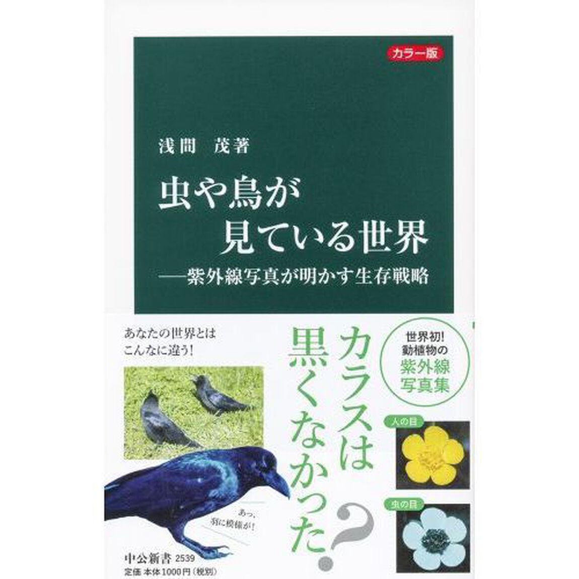 虫や鳥が見ている世界　紫外線写真が明かす生存戦略　カラー版