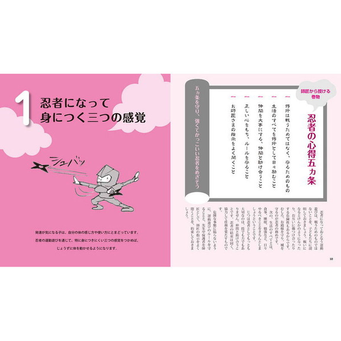 発達障害の子の脳を育てる忍者遊び　柳沢運動プログラムを活用して