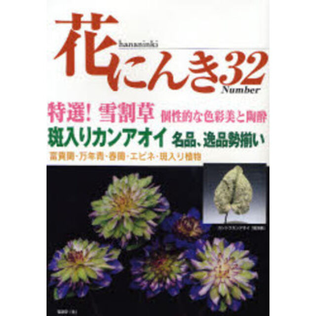 花にんき　ナンバー３２「特選雪割草個性的な色彩美と陶酔　カンアオイ・富貴蘭・万年青・春蘭・エビネ・斑入り植物」