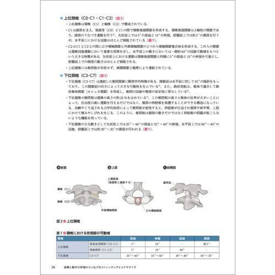 姿勢と動作の評価からつなげるストレッチングとエクササイズ　動画と画像で学ぶ段階的な治療介入