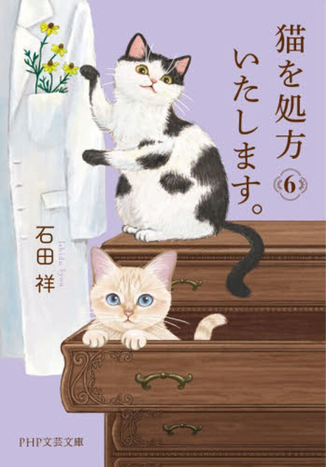 猫を処方いたします。　６