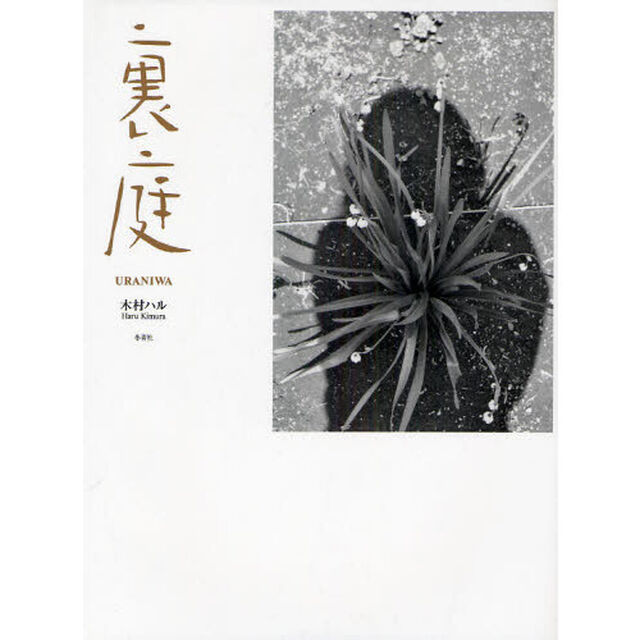 裏庭