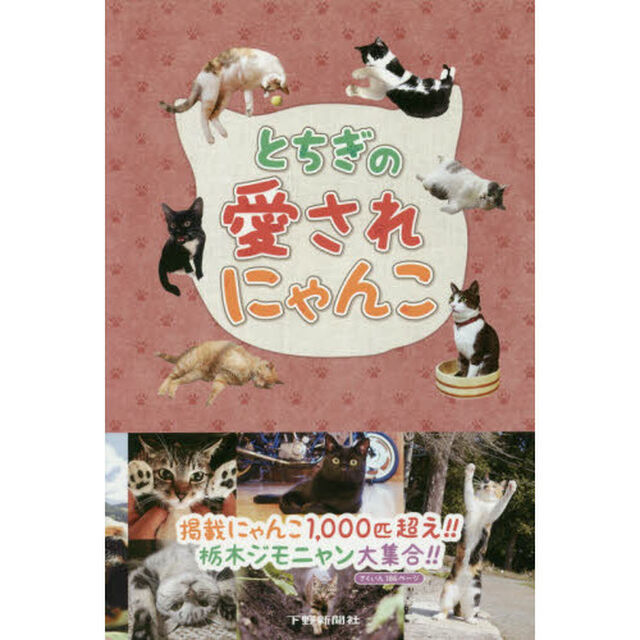 とちぎの愛されにゃんこ