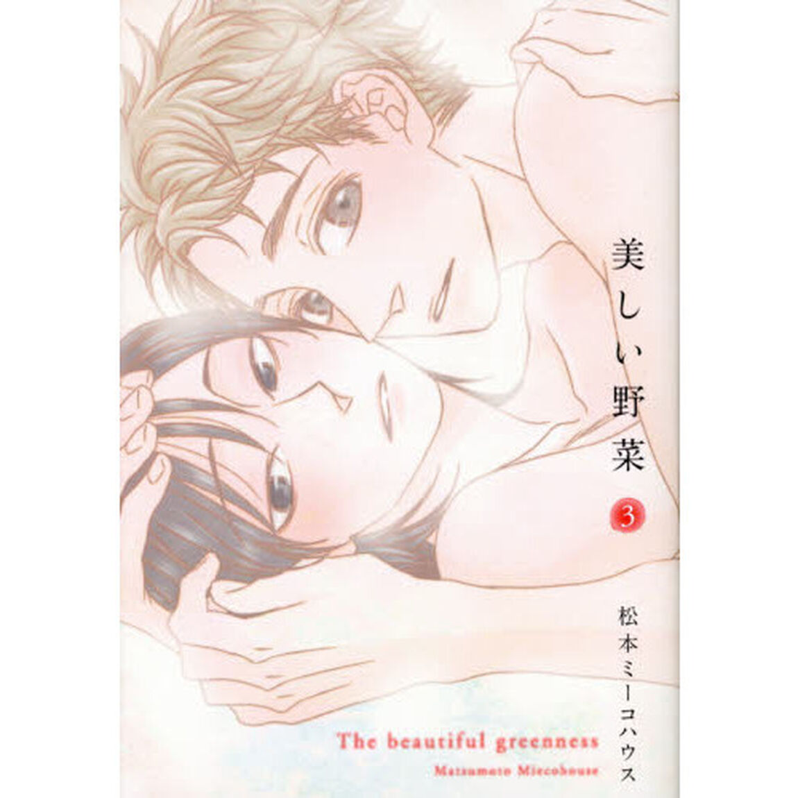 美しい野菜　　　３