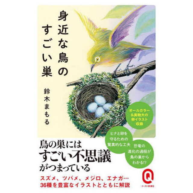 身近な鳥のすごい巣