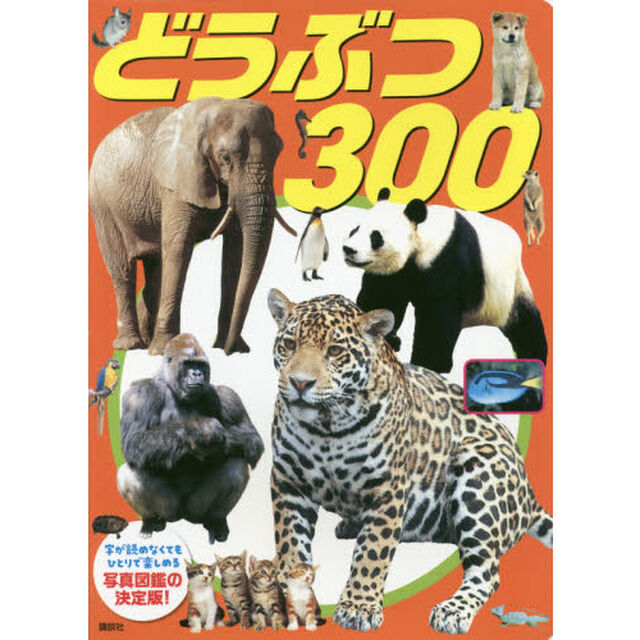 どうぶつ３００　新装版