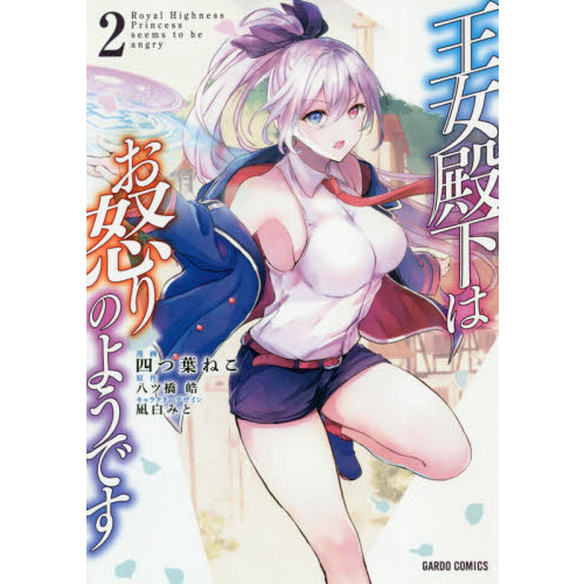 王女殿下はお怒りのようです　２