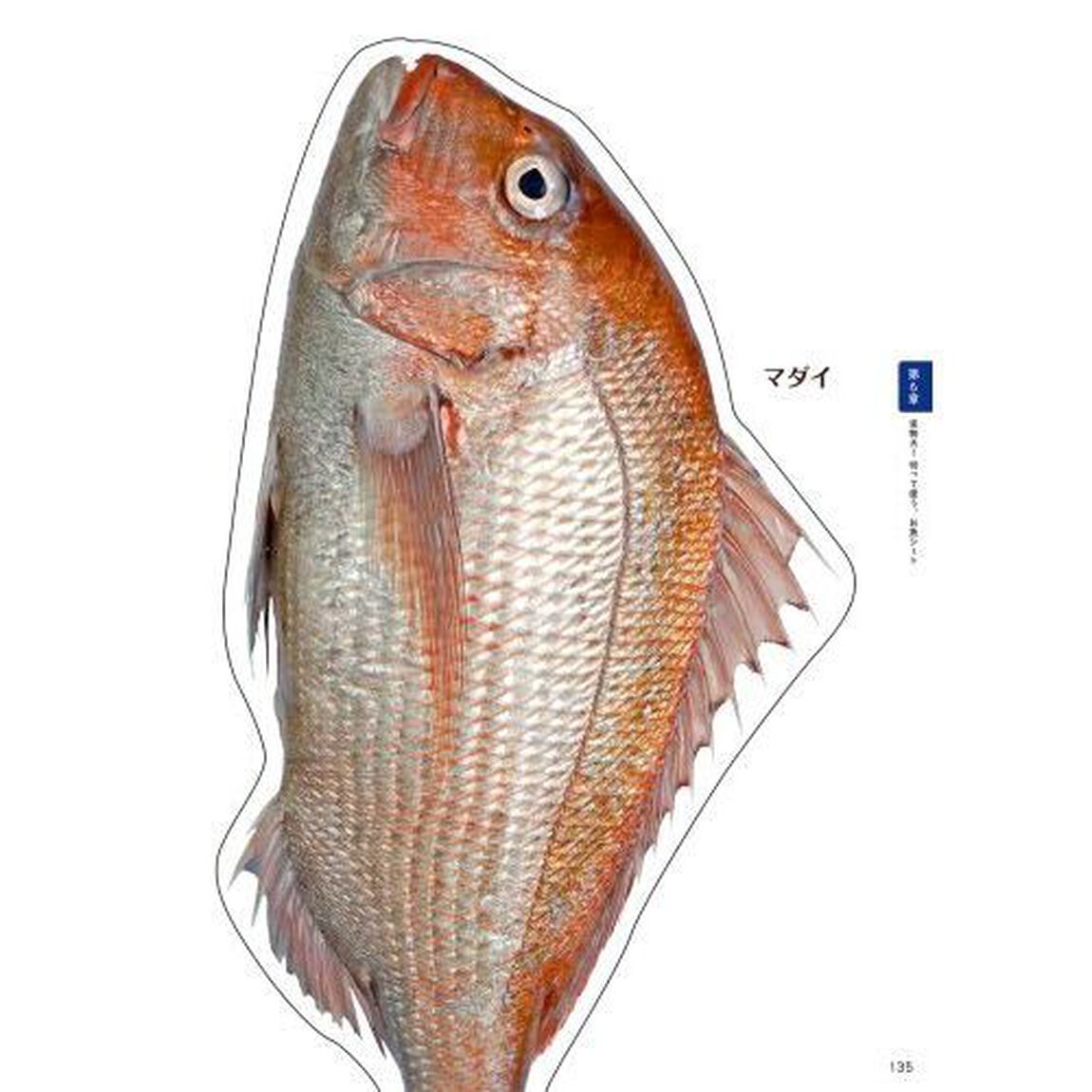 ハヤタケ先生の魚食大百科