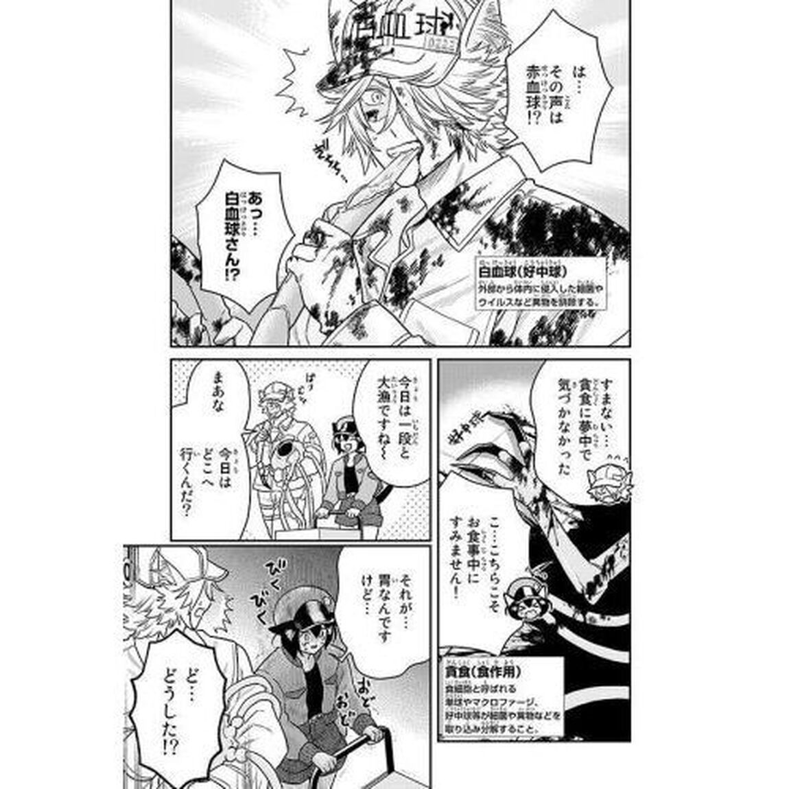 はたらく細胞猫　１