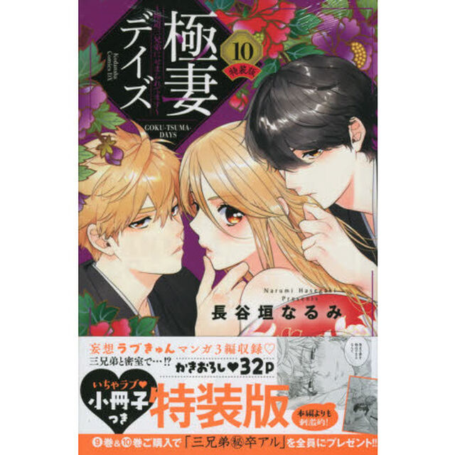 極妻デイズ〜極道三兄弟にせまられてます〜　特装版 10
