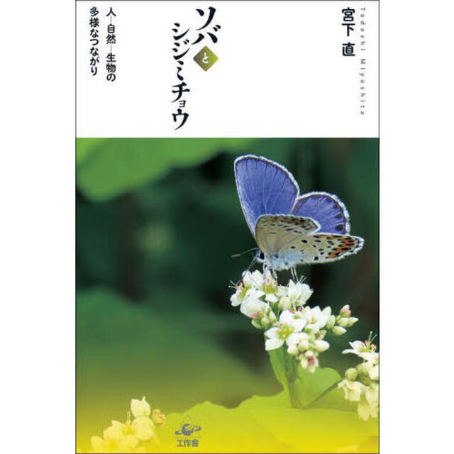 ソバとシジミチョウ　人－自然－生物の多様なつながり