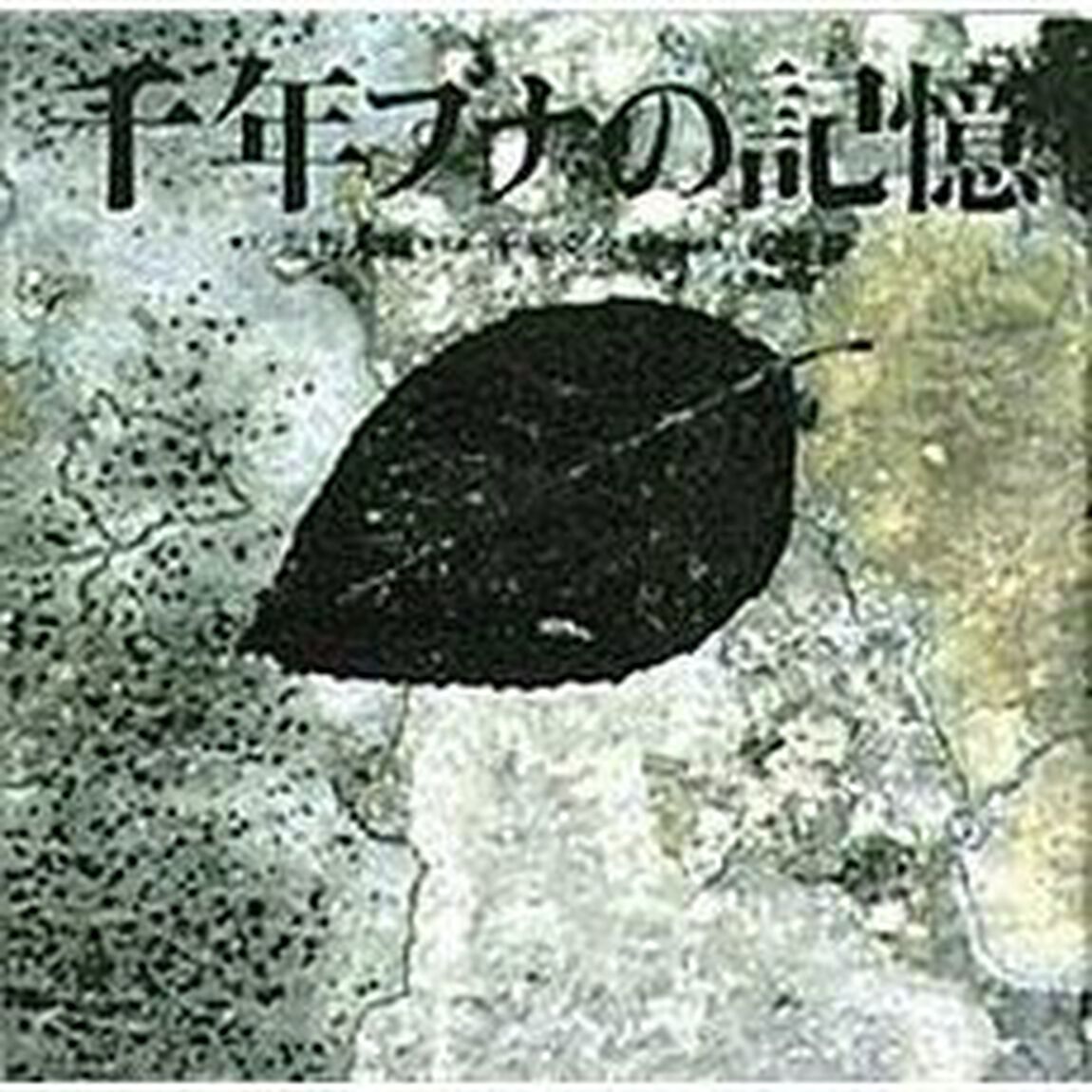 千年ブナの記憶