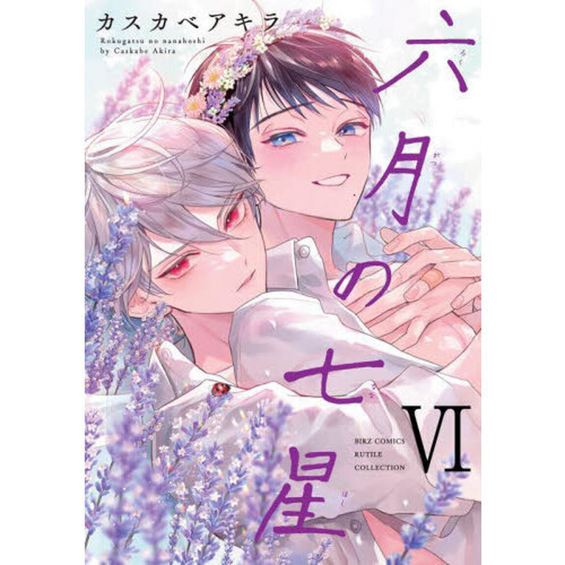 六月の七星　６