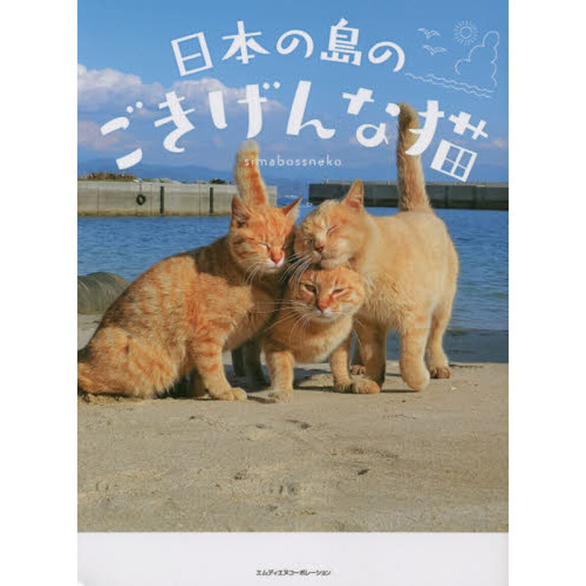 日本の島のごきげんな猫