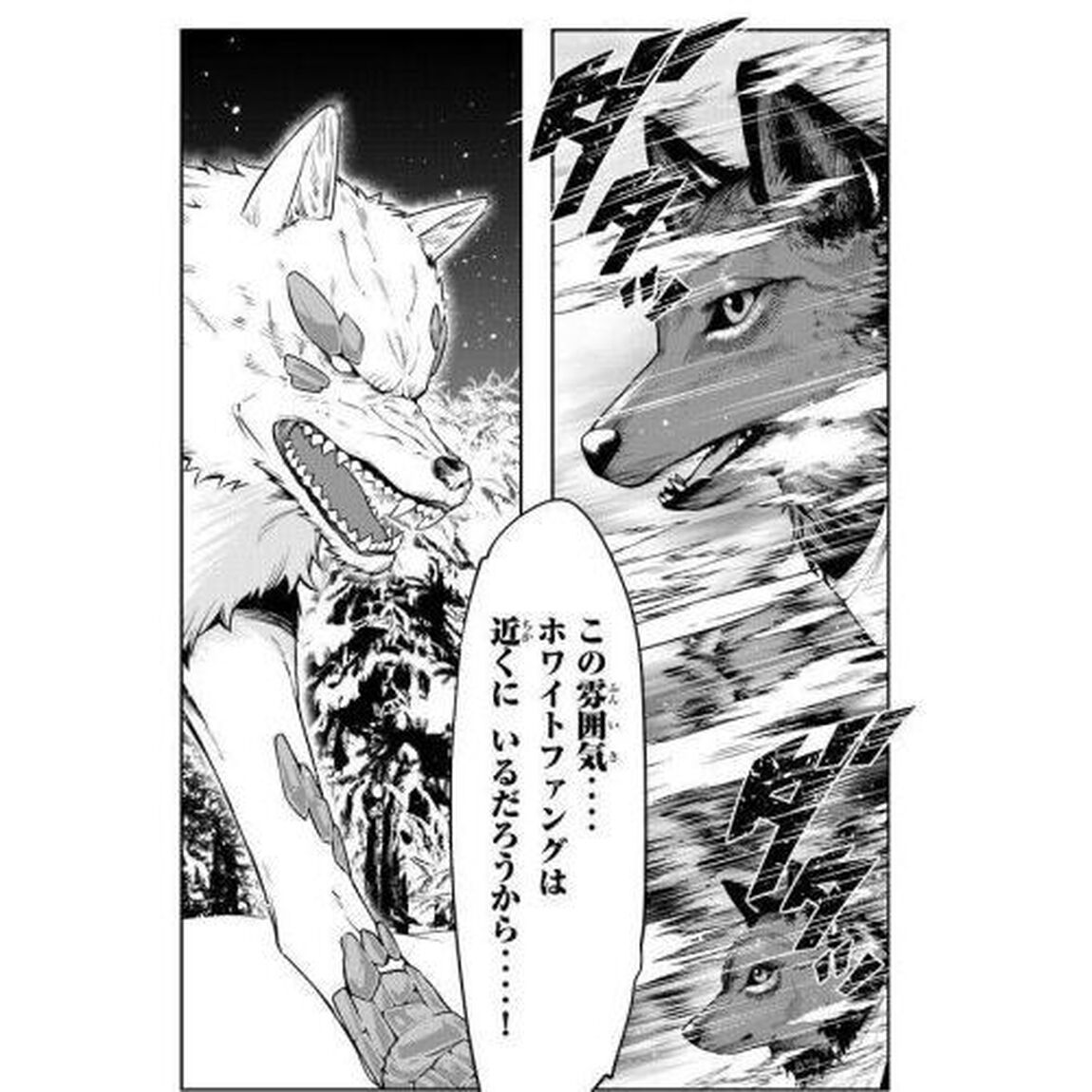 よくわからないけれど異世界に転生していたようです 16