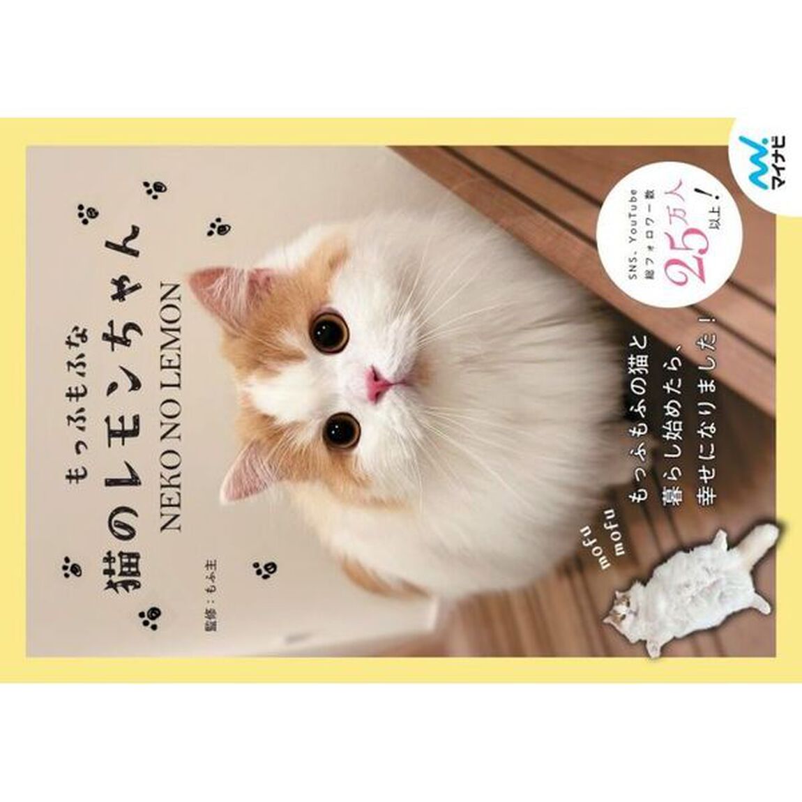 もっふもふな猫のレモンちゃん