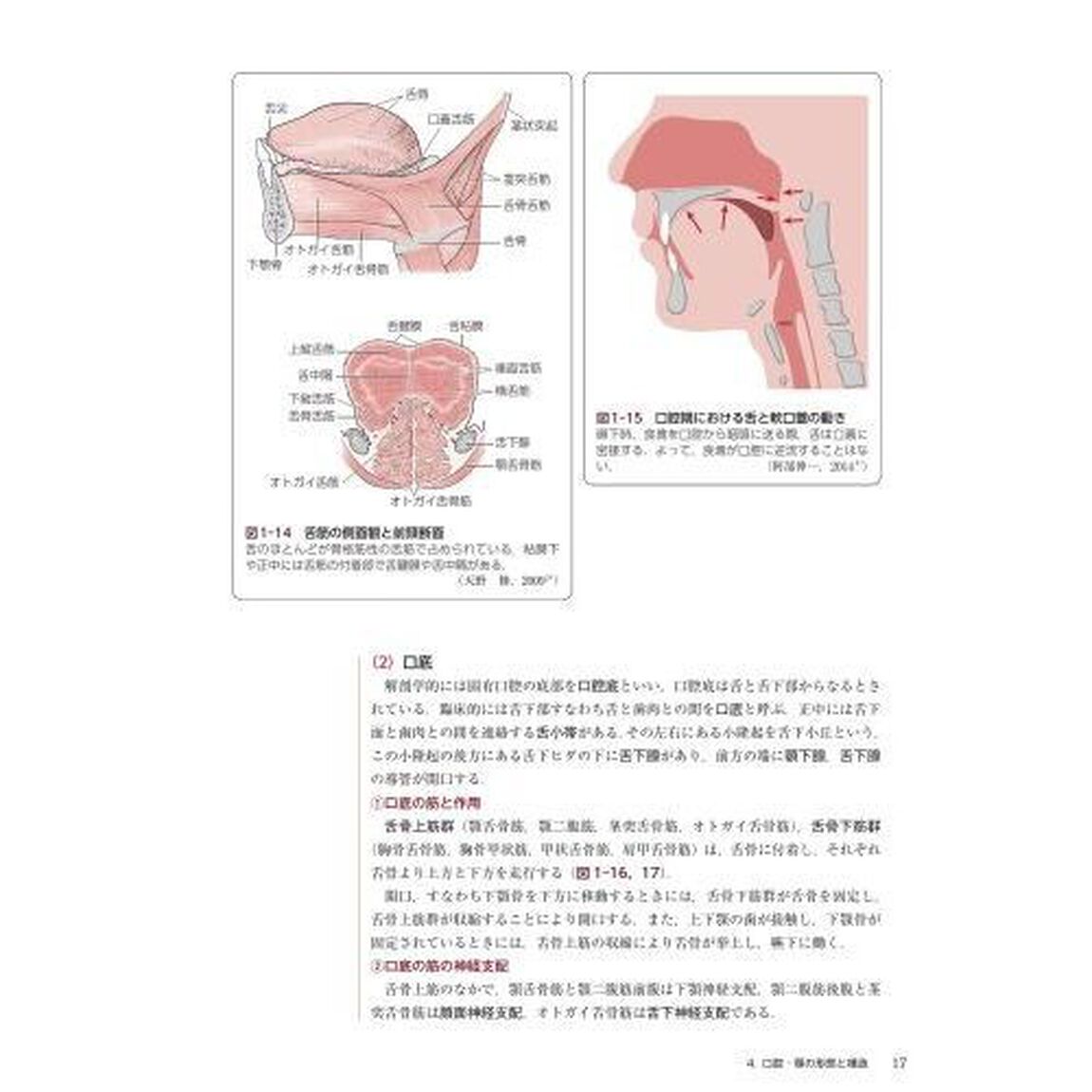 臨床歯科医学・口腔外科学