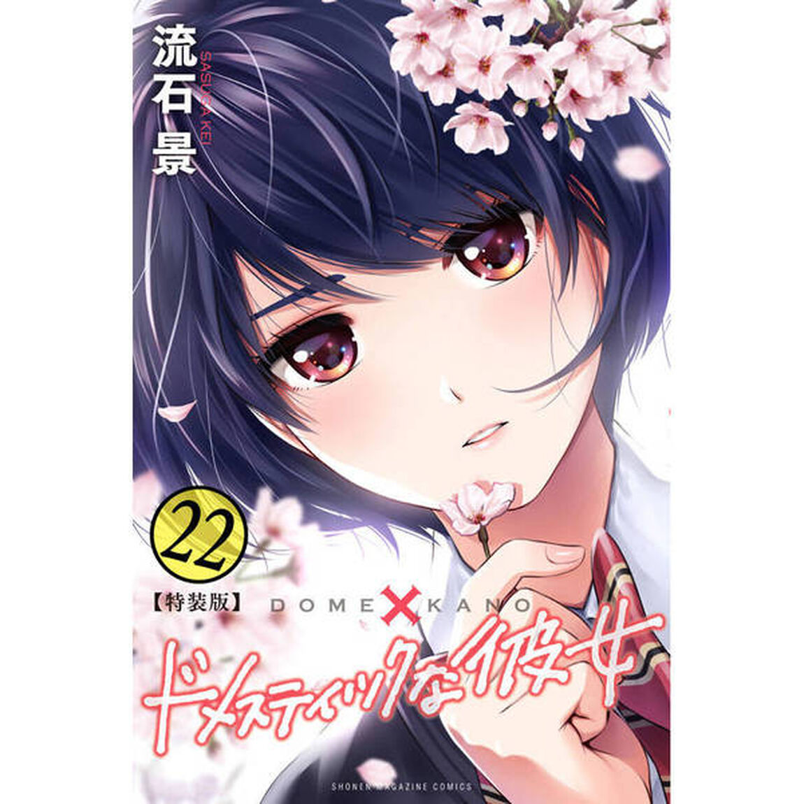 ドメスティックな彼女　　２２　特装版