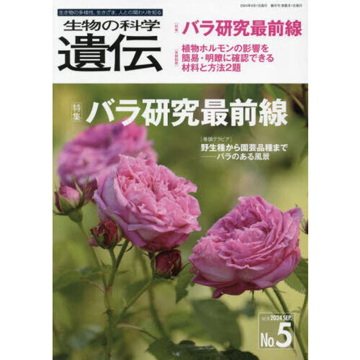 生物の科学遺伝　Ｖｏｌ．７８Ｎｏ．５（２０２４ＳＥＰ．）「バラ研究最前線」