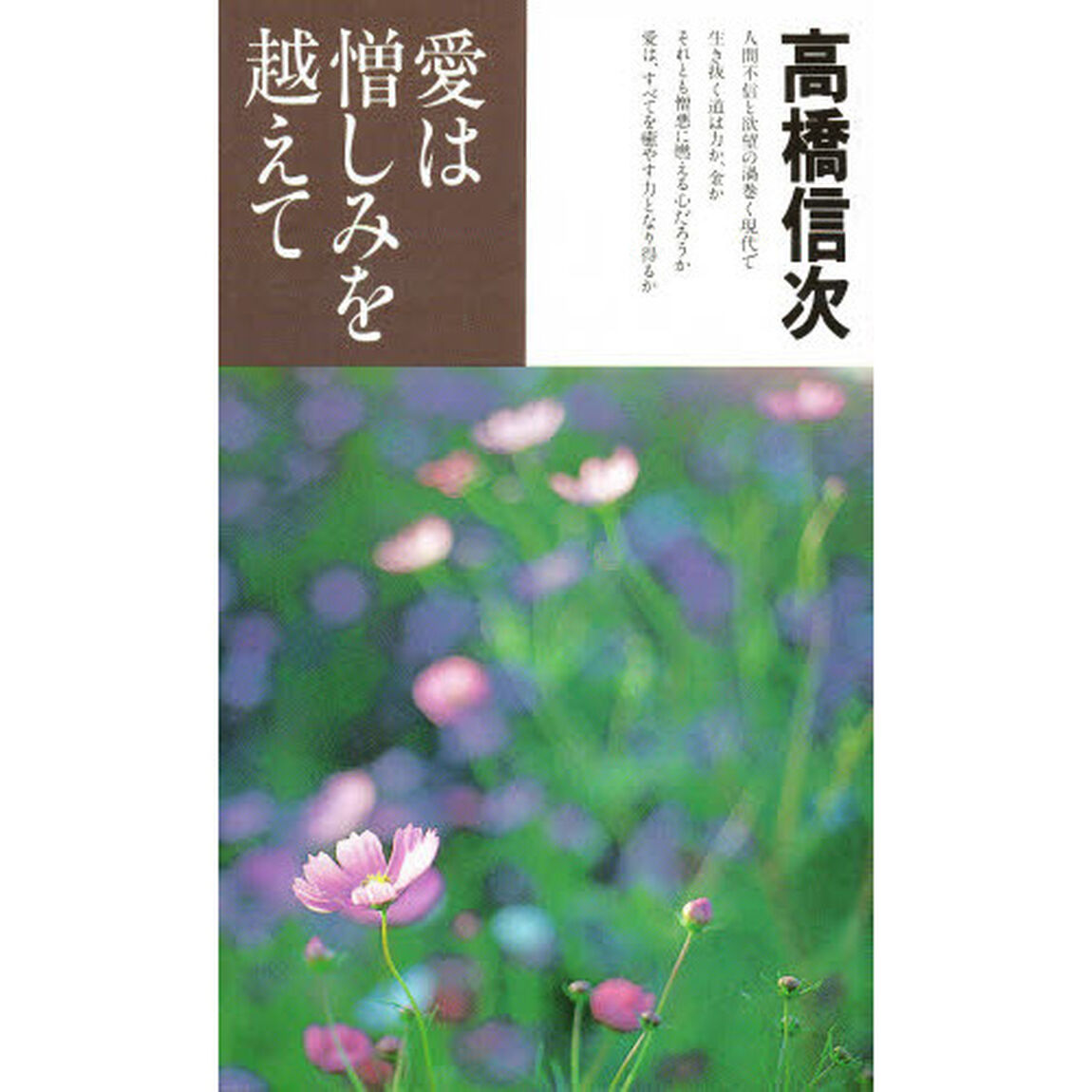 愛は憎しみを越えて　新装版「改訂」