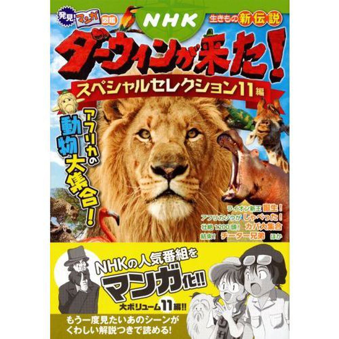 ＮＨＫダーウィンが来た！スペシャルセレクション１１編　アフリカの動物大集合！　生きもの新伝説