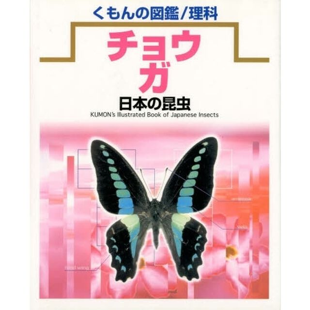 日本の昆虫　〔２〕「チョウ・ガ」