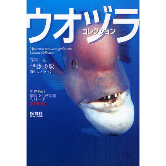 ウオヅラコレクション
