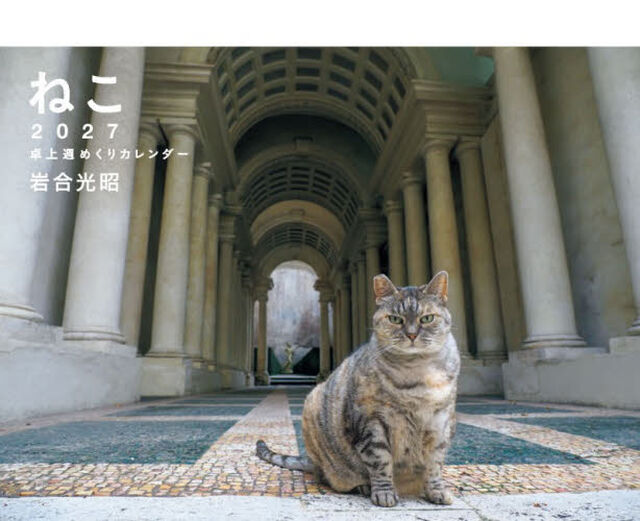&rsquo;２７　ねこ卓上週めくりカレンダー