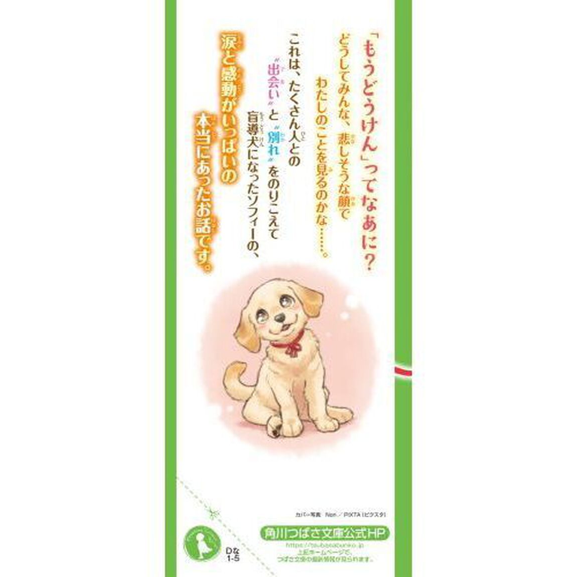 さよならをのりこえた犬ソフィー　盲導犬になった子犬の物語