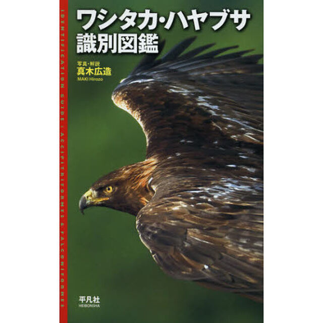 ワシ・タカ・ハヤブサ識別図鑑