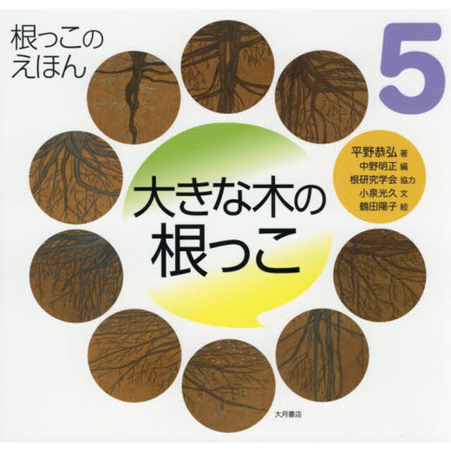 根っこのえほん　５「大きな木の根っこ」