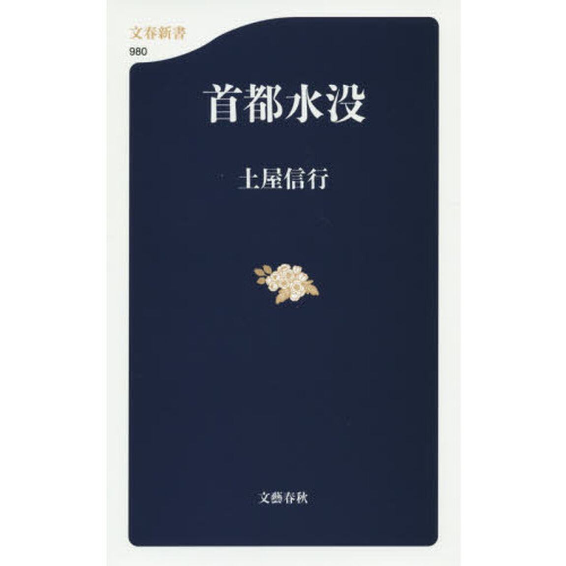 首都水没