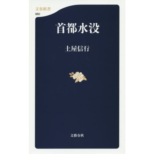 首都水没