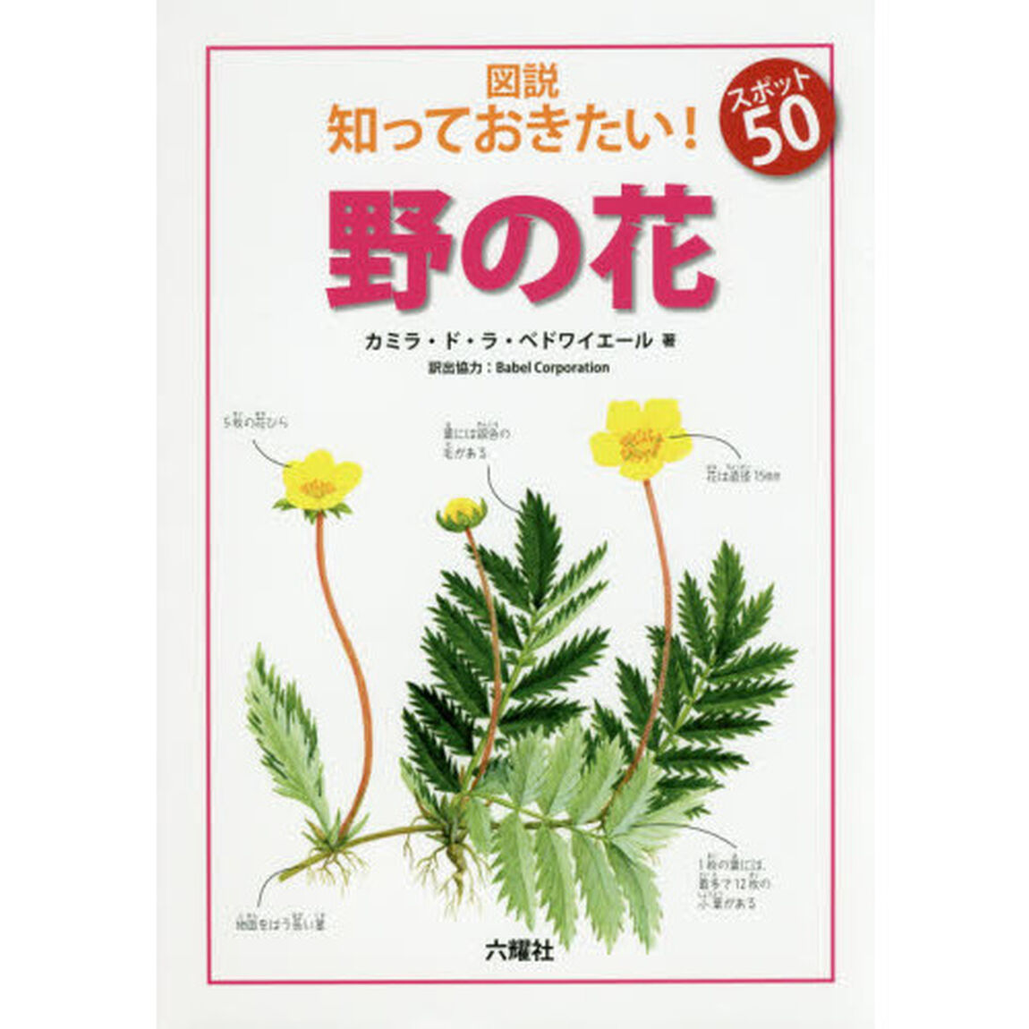 図説知っておきたい！スポット５０野の花