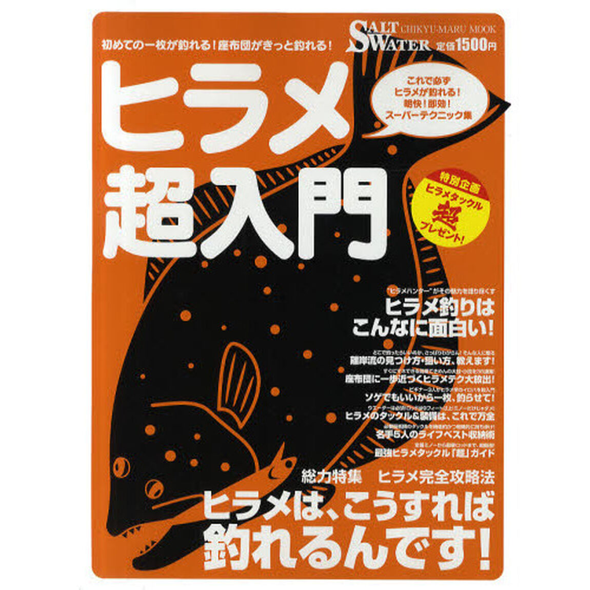 ヒラメ超入門　明快！即効！スーパーテクニック集　ヒラメは、こうすれば釣れるんです！