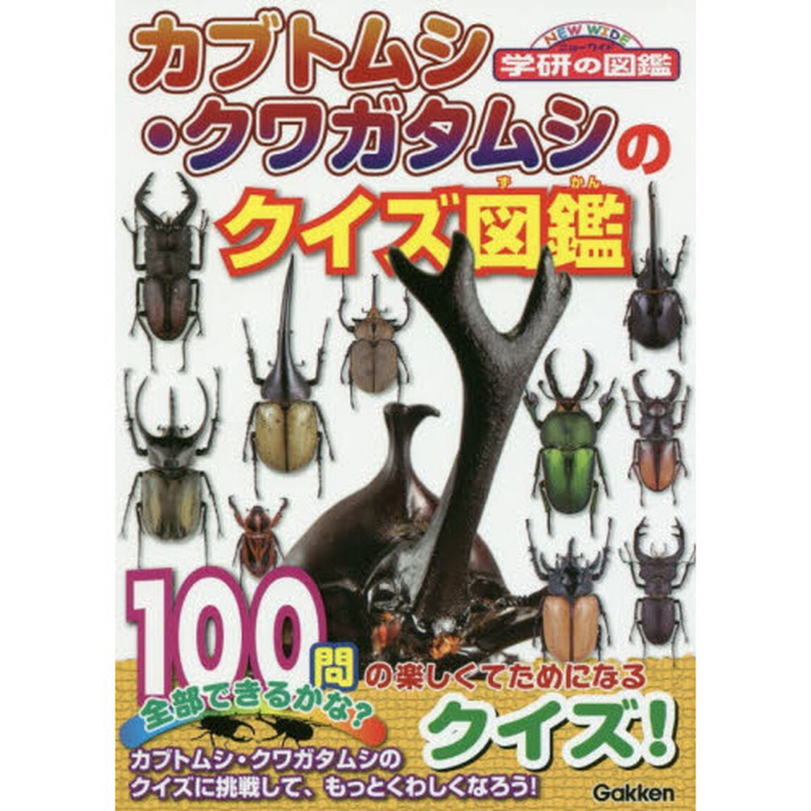 カブトムシ・クワガタムシのクイズ図鑑