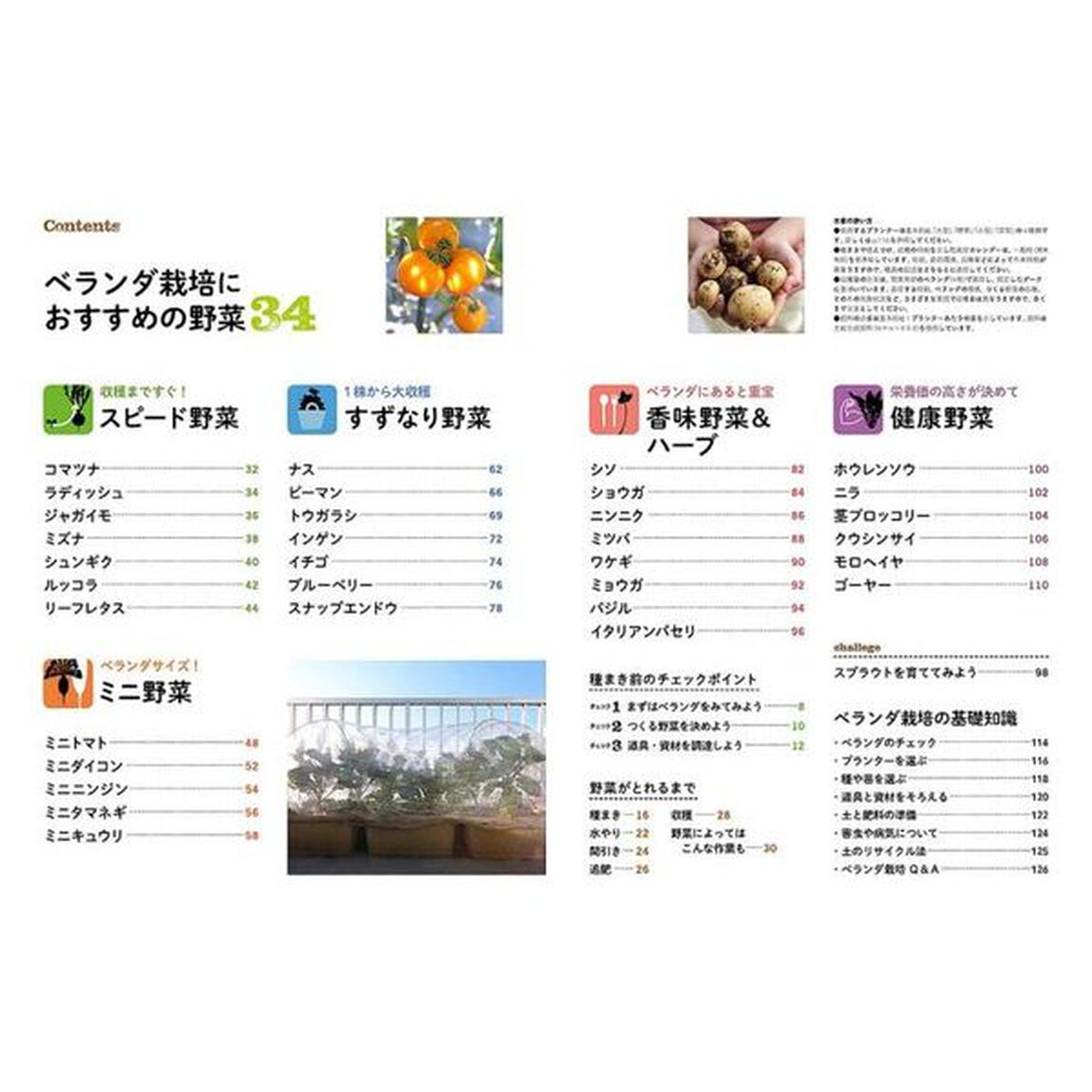 だれでもできるベランダで野菜づくり「新版」