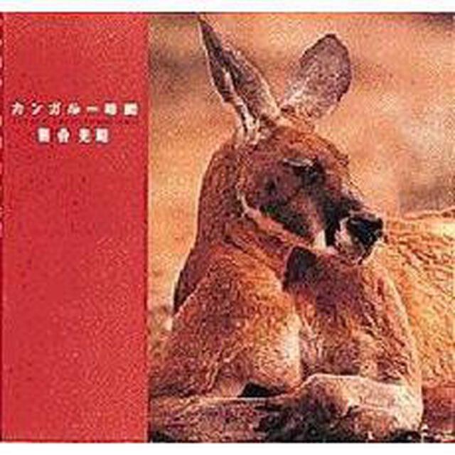 カンガルー時間