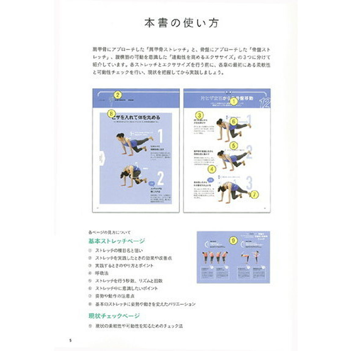 不調撃退！肩甲骨・骨盤ストレッチ
