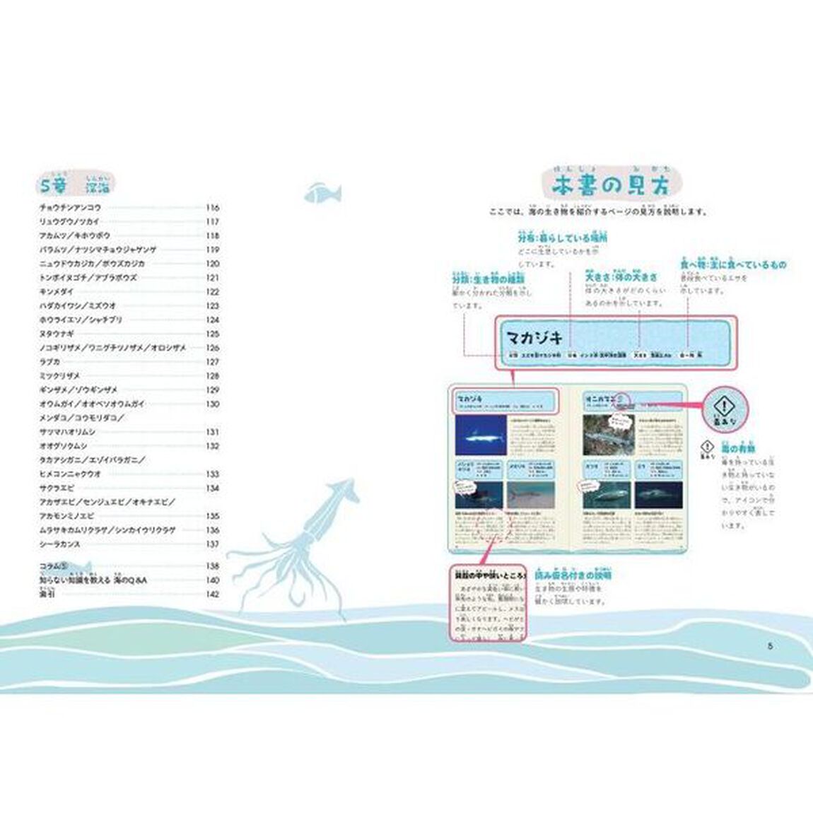 海のいきもの図鑑　すみかで比べる