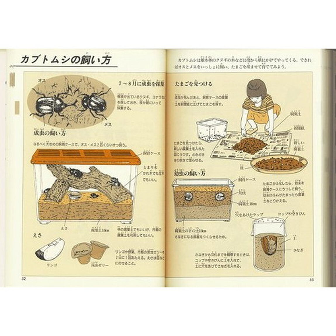 自由研究図鑑　身近なふしぎを探検しよう