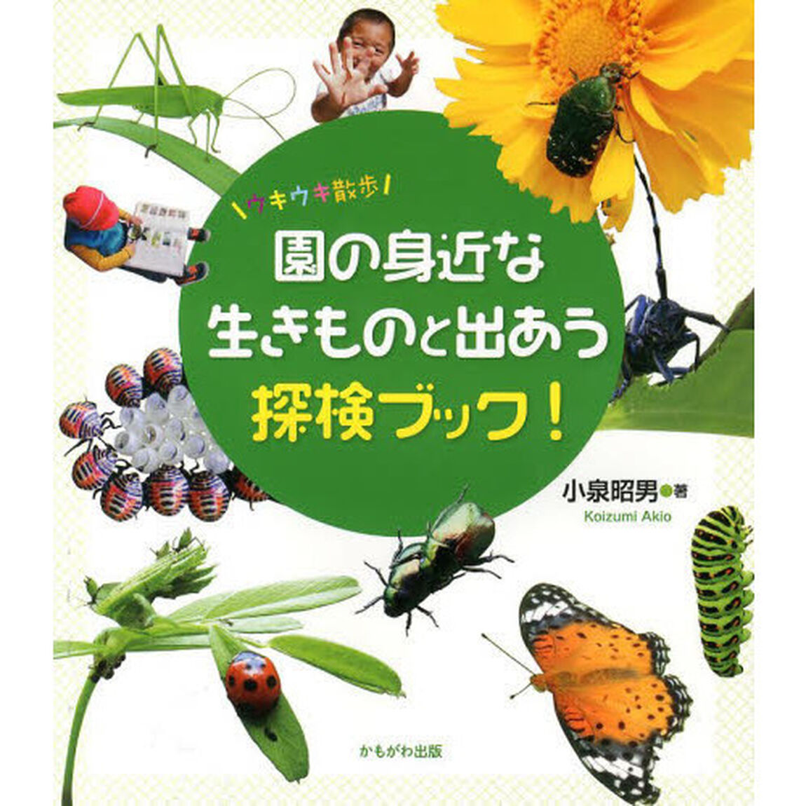 園の身近な生きものと出あう探検ブック！　ウキウキ散歩