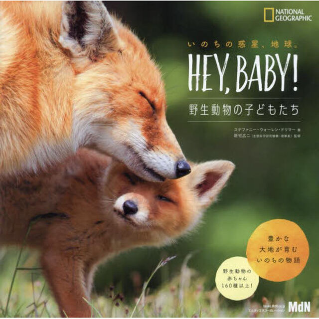いのちの惑星、地球。ＨＥＹ，ＢＡＢＹ！　野生動物の子どもたち