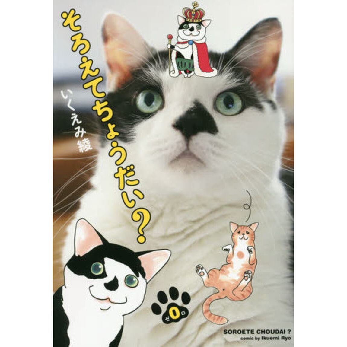 そろえてちょうだい？　０