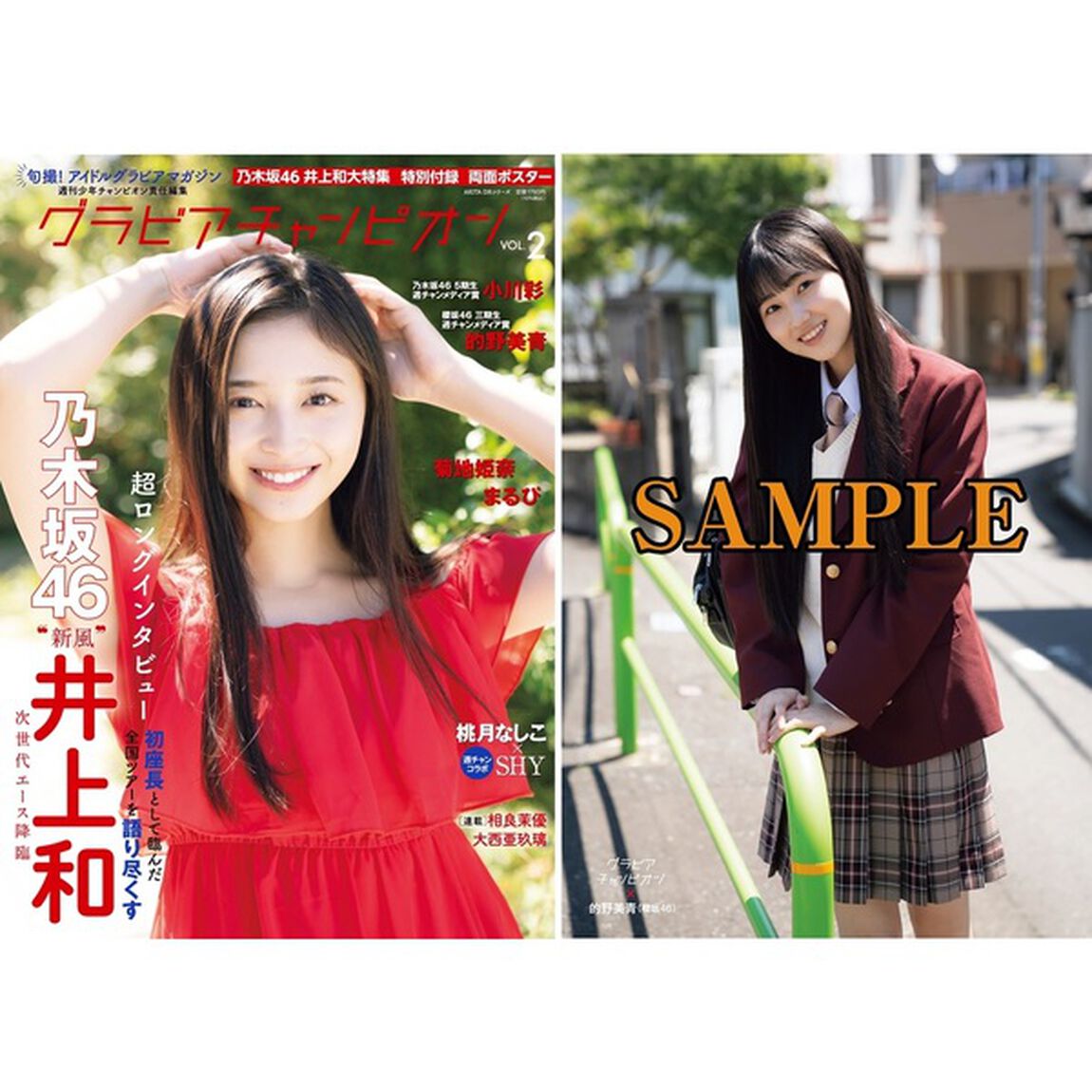 グラビアチャンピオン Vol.2【セブンネット限定特典：櫻坂46 的野美青 ポストカード１枚付き】