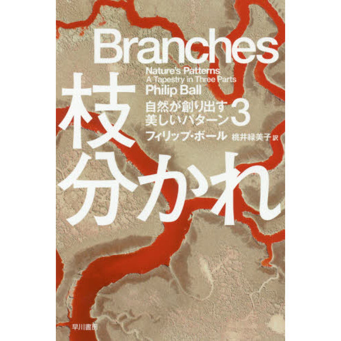 枝分かれ