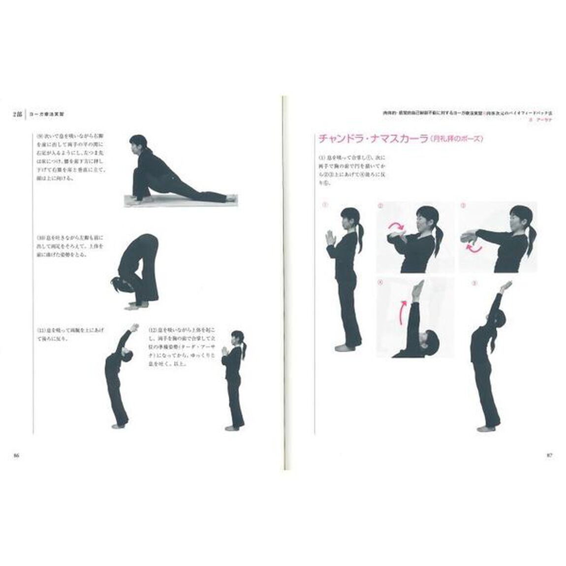 実践ヨーガ療法　ストレス社会に対応するバランスのとれた心身をつくる