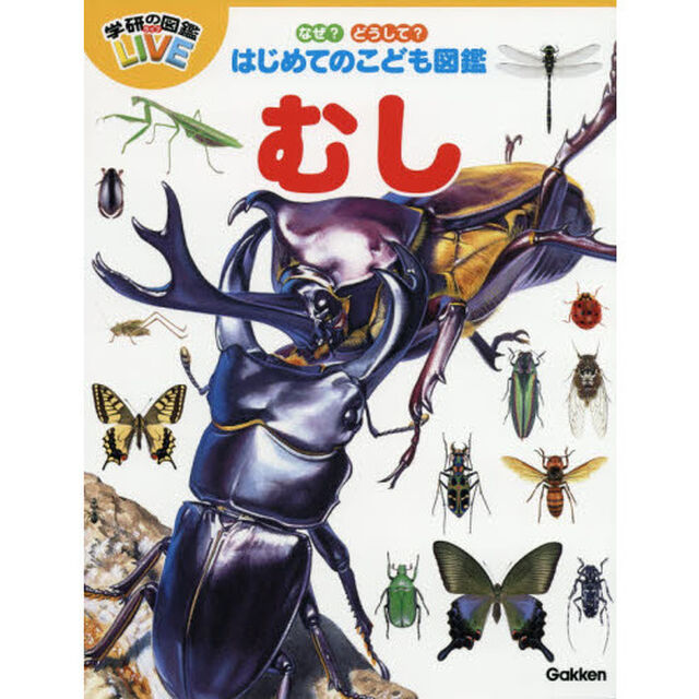 むし